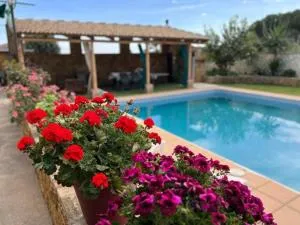 Dama Rural - Posadas