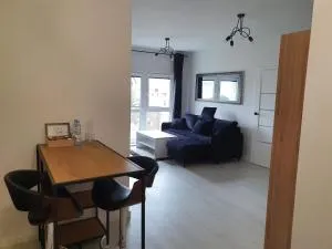 Apartament Business Sienkiewicza - Rydzyna
