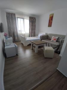 Single Room room in Hotel Dacor
