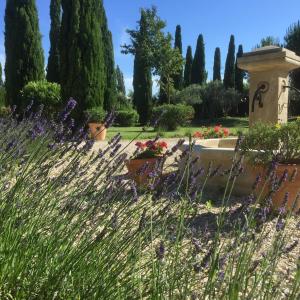 Maisons d'hotes Fontaine des Magnarelles : photos des chambres