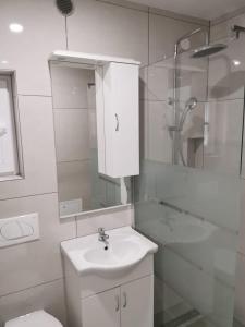 Apartment Ivo Kaurinovic