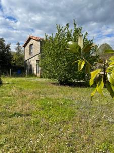 B&B / Chambres d'hotes Chez Sarah - L'Escapade : photos des chambres