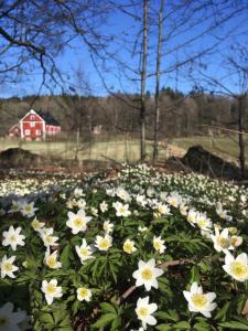La Maison Rouge de Slätten Bed and Breakfast
