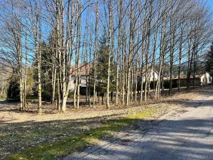 Maisons de vacances Ferme des Jonquilles 15p - billard, PS4, salle de sport : photos des chambres