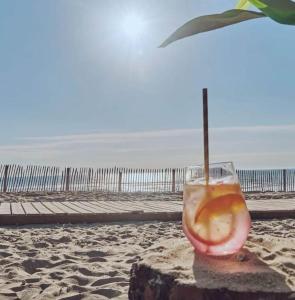 Appartements Mobil home Premium Camping 5* : photos des chambres