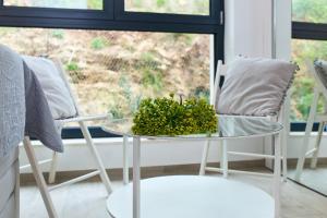 Hedera Estate, Hedera Studio 4