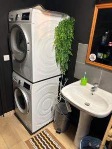 Appartements Haylenes : photos des chambres