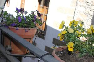 La turronera de La Alberca