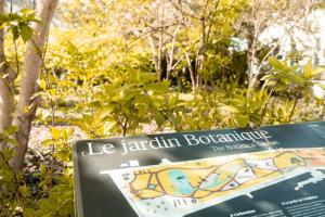 L Étoile Filante - 2 pièces de caractère