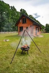 Groszkówka - Planta