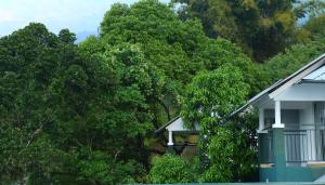 Munnar Tea Hills Resort - MTHR