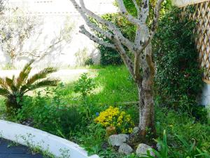 Maisons de vacances Maison avec jardin, idealement situee : photos des chambres