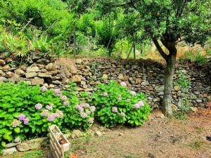 Il limoneto dei Cinque Sensi,apartment with garden