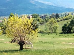 Maisons d'hotes La Grange de Sabatas : photos des chambres