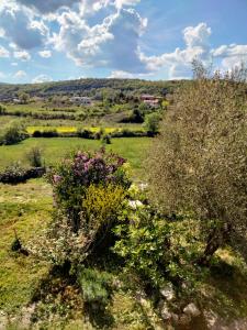 Maisons d'hotes La Grange de Sabatas : photos des chambres