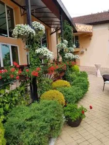 Kesten Futog - Stari Futog