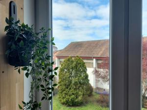 Appartements Appart'Hotel la Savoureuse : photos des chambres