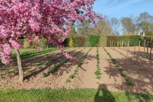 Appartements Vacance a la campagne : photos des chambres