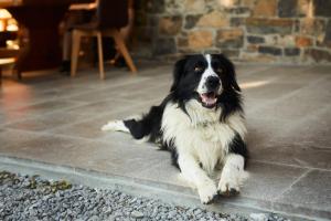 Ferjančič estate rooms 