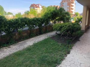 Cute Studio Apt, Pollo Resort