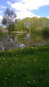 Siedlisko Urszulanka Domek