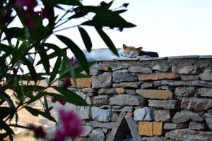 Awesome Traditional Maisonette House - Kythnos