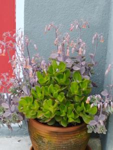 Um quarto da Casa Do Monte