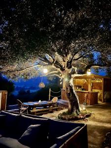 Maisons de vacances Tour Genoise Micalona, Domaine de l'Oglisatru : photos des chambres