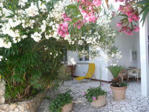 Apartments by the sea Barbat, Rab - 21169