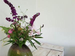 Villas Stylish holiday home near St Br s : photos des chambres