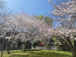 ALL TRUST2馆临近心斋桥道頓堀难波直达梅田关西机场Usj全新独栋别墅四个卧室可住8人超大空间3卫2浴厨房设施齐全电视冰箱洗衣机空调配置齐全免费停车4分钟步行至今宫站