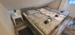 Apartment in Siofok - Balaton 44082