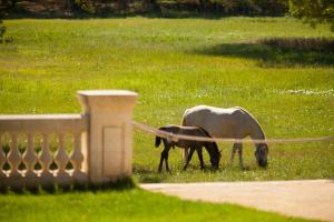 Hotels Domaine de Biar : photos des chambres