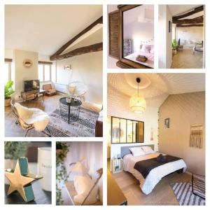 Appartements COZY APPARTEMENT - CALME - HYPERCENTRE - GAILLAC : photos des chambres