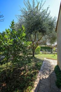 JOLIE MAISON - CALME - JARDIN - GAILLAC