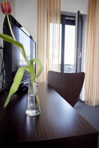 Double Room with Private Bathroom room in GS Hotel Mindelheim