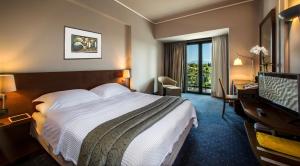 Superior Double or Twin Room room in Dekelia Hotel