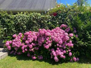 Mundaka Beachfront House