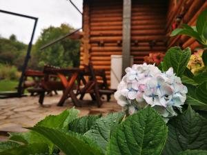 Valea Vistisoarei