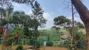 Hide and seek Residency