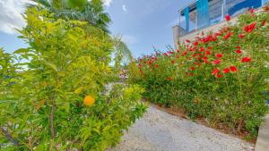 VILLA FINESTRAT