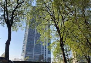 Casa Gianduia davanti al Grattacielo