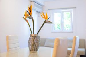 Cem Sentido - Alentejo Apartments