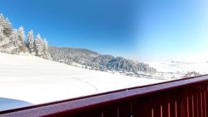 Villa Patriot - Penzión