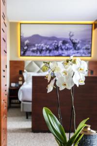 Hotels Thalazur Bandol Ile Rousse - Hotel & Spa : photos des chambres