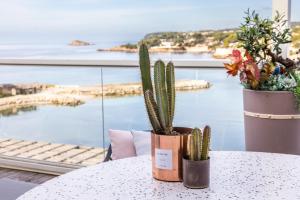 Hotels Thalazur Bandol Ile Rousse - Hotel & Spa : photos des chambres