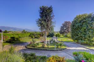 Villa Luce-Casa vacanza con vista panoramica mare.