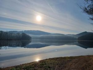 Chalets Cabane pilotis sur etang, au lac de Chaumecon : photos des chambres