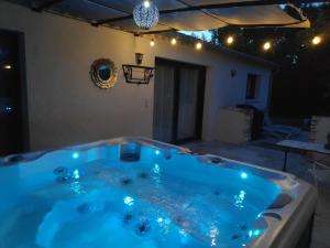 Appartements Le Titibu, gite et spa toutes saisons : Studio avec Baignoire Spa