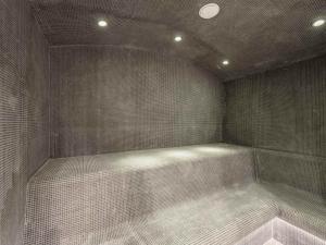 Appartement neuf avec terrasse, 2 chambres près des pistes, sauna, hammam, salle de sport, parking - FR-1-569-57